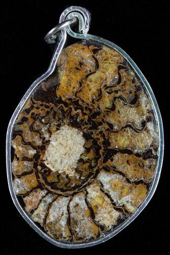 Moroccan Ammonite Fossil Pendant #58393